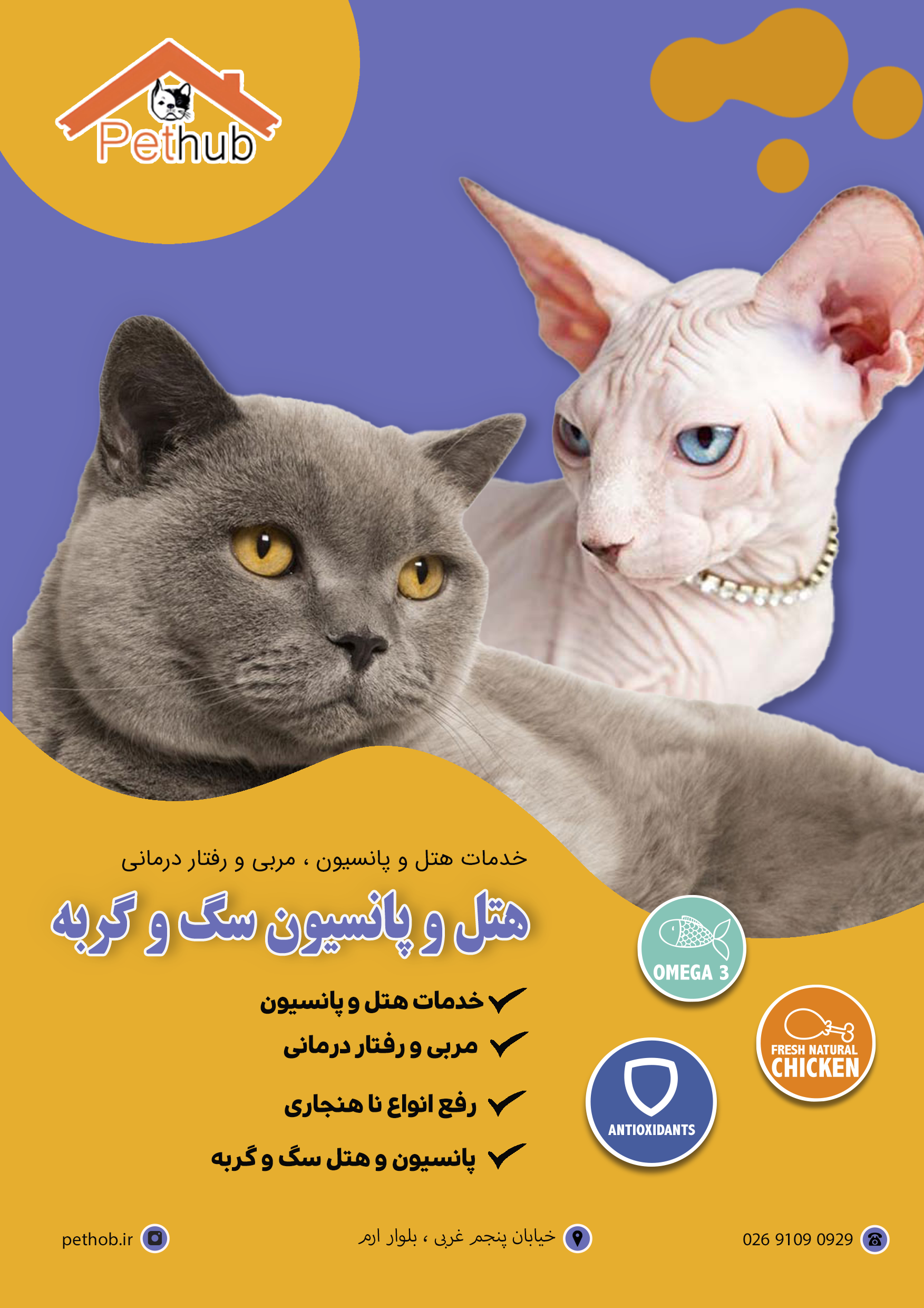 سربرگ 1